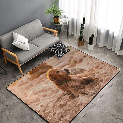 Tapis de salon durable et doux grand format imprimé Retriever
