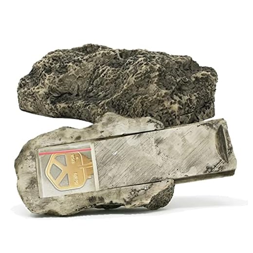 PANGAEA Key Hider Fake Rock, Weatherproof and Safe for Spare Keys, Real Look and Feel Stone, Garden, Outdoor, Geocaching (Type-A (Black), 1 Pack)
