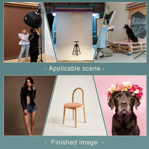Backdrop Wall Mount, Zbww Backdrop Roller System, Photography 3 Roller Wall Mounting For Photo Studio, Living Streaming #TOP5