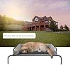 objoy Original Elevated Dog Bed