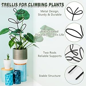 Plant Trellis for Climbing Plants, 2 Pks Garden Trellis 12'' Leaf Shape Plant Trellis Metal Wire Stake for Potted Plants, Houseplant, Home Plant, Mini Rose, Plant Lover Gifts (Black) Plant Trellis for Climbing Plants 2 Pks Garden Trellis 12 Leaf Shape Plant Trellis Metal Wire Stake for Potted Plants Houseplant Home Plant Mini Rose Plant Lover Gifts Black
