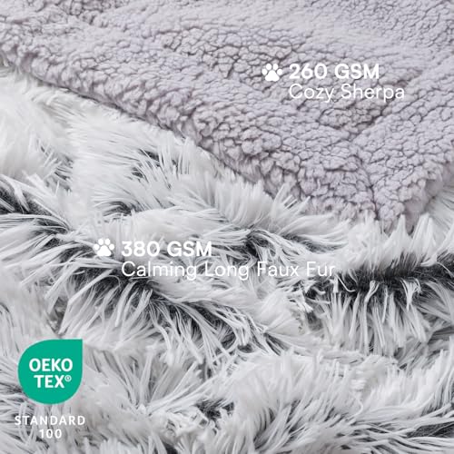 Couverture pour canapé et chien imperméable pour salon propre