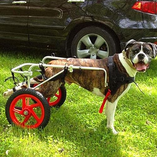 Poussette réglable pour animal domestique à roues arrière stables pour marche rééducative