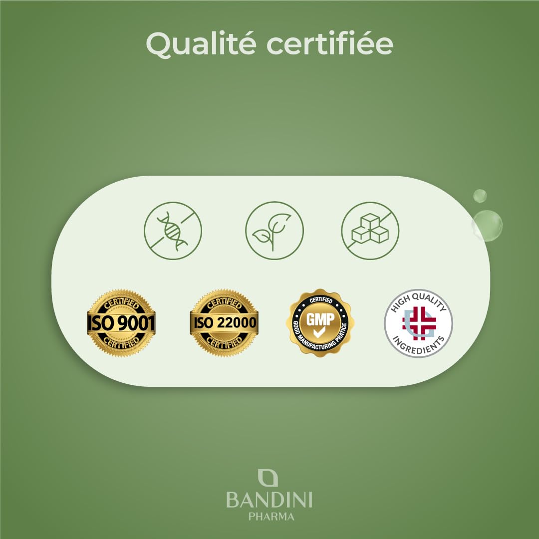 Bandini® Actée à grappe 300 comprimés | Cimicifuga racemosa ou Actaea racemosa rhizome extrait sec | Complément alimentaire Vegan | 300 mg par dose quotidienne | Supplément Naturel et Végétalien