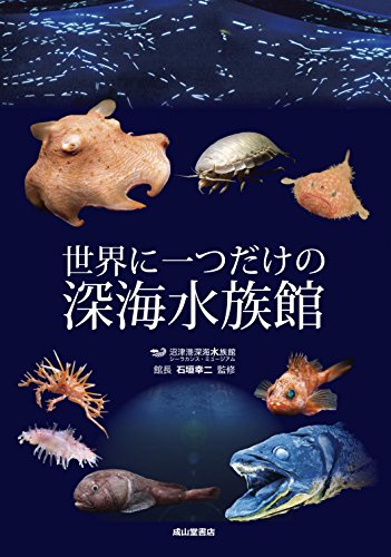 世界に一つだけの深海水族館 世界に一つだけの深海水族館