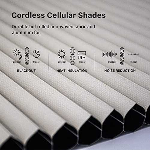 Smart Blind