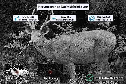 Meidase P100 Wildkamera WLAN mit App 32MP H.264 1296P, 27M Infrarot Nachtsicht Bewegungsmelder...