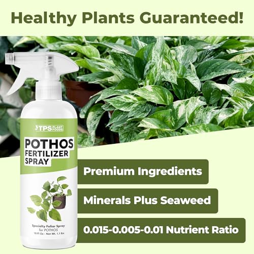 Pothos Fertilizer Spray 16 oz miniatura 2