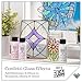 Gallery Glass Hologram Confetti Stained Glass Glitter Finish Paint, Perfect for Easy to Apply DIY Arts and Crafts, 19672