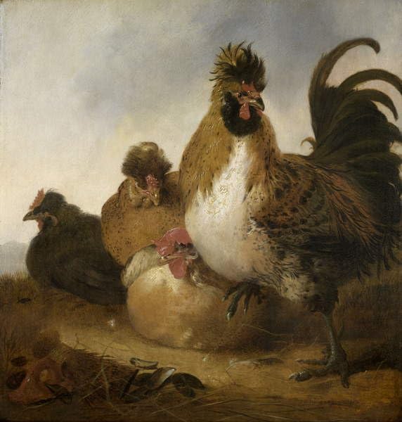 Toile un coq et des poules Aelbert Cuyp pour habiller un grand mur