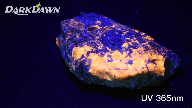 Torcia UV 365nm DARKDAWN - Ricaricabile USB-C, Per Macchie Urina Animali, Anti-Contraffazione - Foto 2