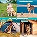 Bodenanker Hund, Erdanker Hund Große, ø 12mm Spiralklinge Anlegepflock für Hunde bis zu 220 lbs für Camping, Strand, Rasen und Hof(Schwarz)