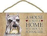 A house is not a home without Schnauzer Dog - 5