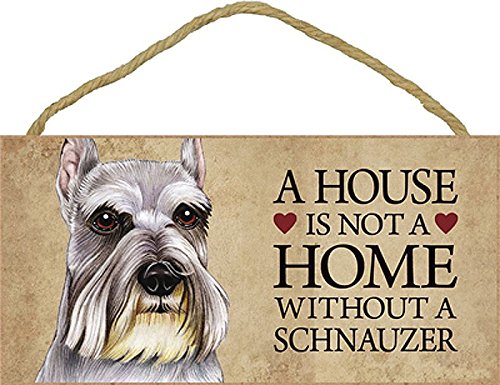 A house is not a home without Schnauzer Dog - 5