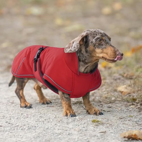 Hjyokuso Hundemantel Dackel, Winddichter Wasserdichter Wintermantel Für Dackel Hunde, Hundejacke Für Große Hunde, Hundemantel Winter Mit Bauchschutz Und Leinenloch, Winterjacken Für Hunde - Rot