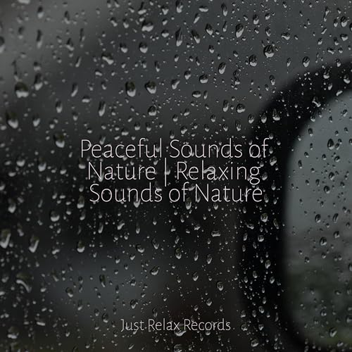 Amazon Music - Nature Sounds Nature MusicのPeaceful Sounds of Nature ...