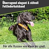 CopcoPet Hundehalsband Würger 35–40 cm x 15mm Braun – Geflochtenes Halsband mit Zugstopp & verchromtem Ring – Aus robustem Fettleder – Für kleine Hunde – Weiches Lederhalsband fürs Training