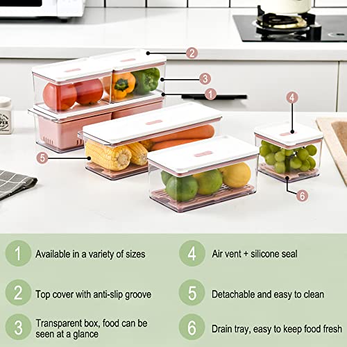 Lille Home Economizador de produtos empilhável, caixas organizadoras/recipientes de armazenamento co