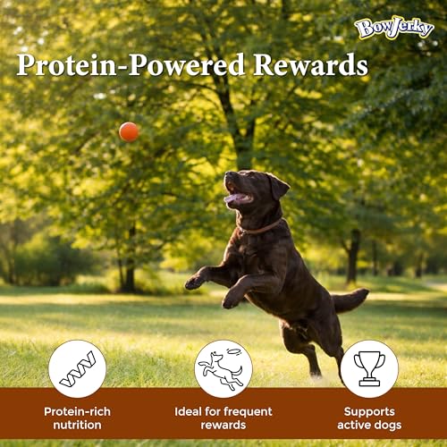 Image of Rena Bow Jerky Chicken Liver Dog Treats | Protein-Rich Soft Stick Snacks for Training & Daily Rewards | Healthy Chew Treats for All Life Stages | 200g Each Pack of 3