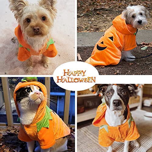 Disfraz de Calabaza para Perro Medium miniatura 3