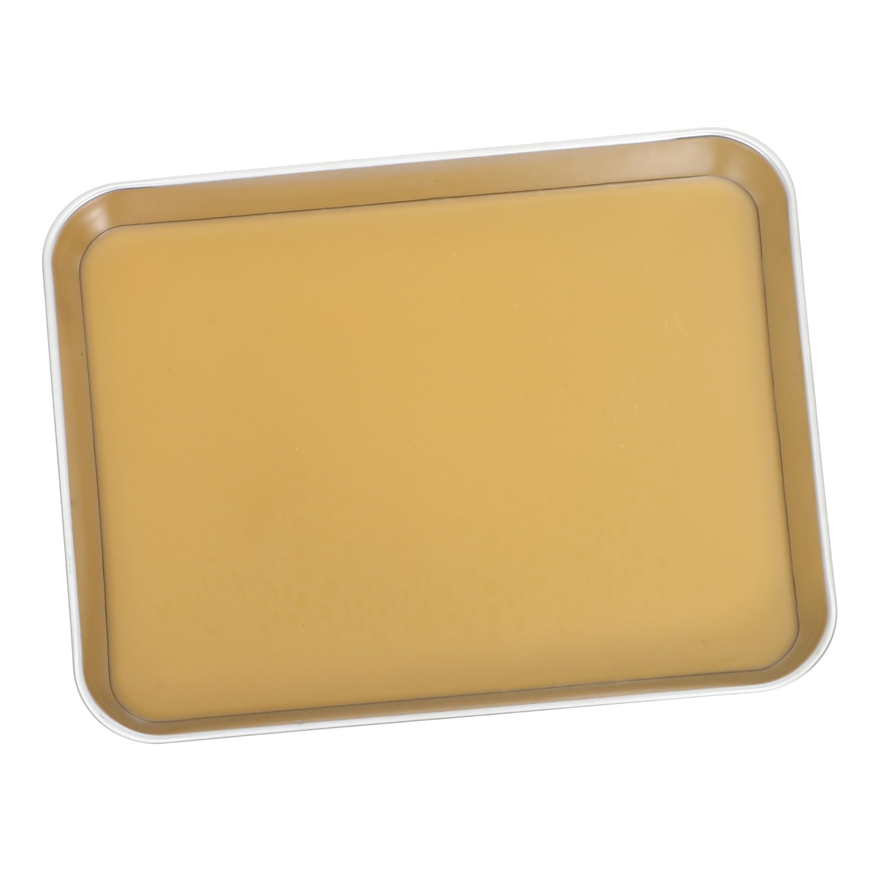 TOPBATHY Vassoio Per Dissezione in Inossidabile Con Cera Per Laboratori Biologia Vassoio Per Dissezione in Metallo Con Base in Cera Design Spazioso Per Esame Campioni Grandi o Multipli
