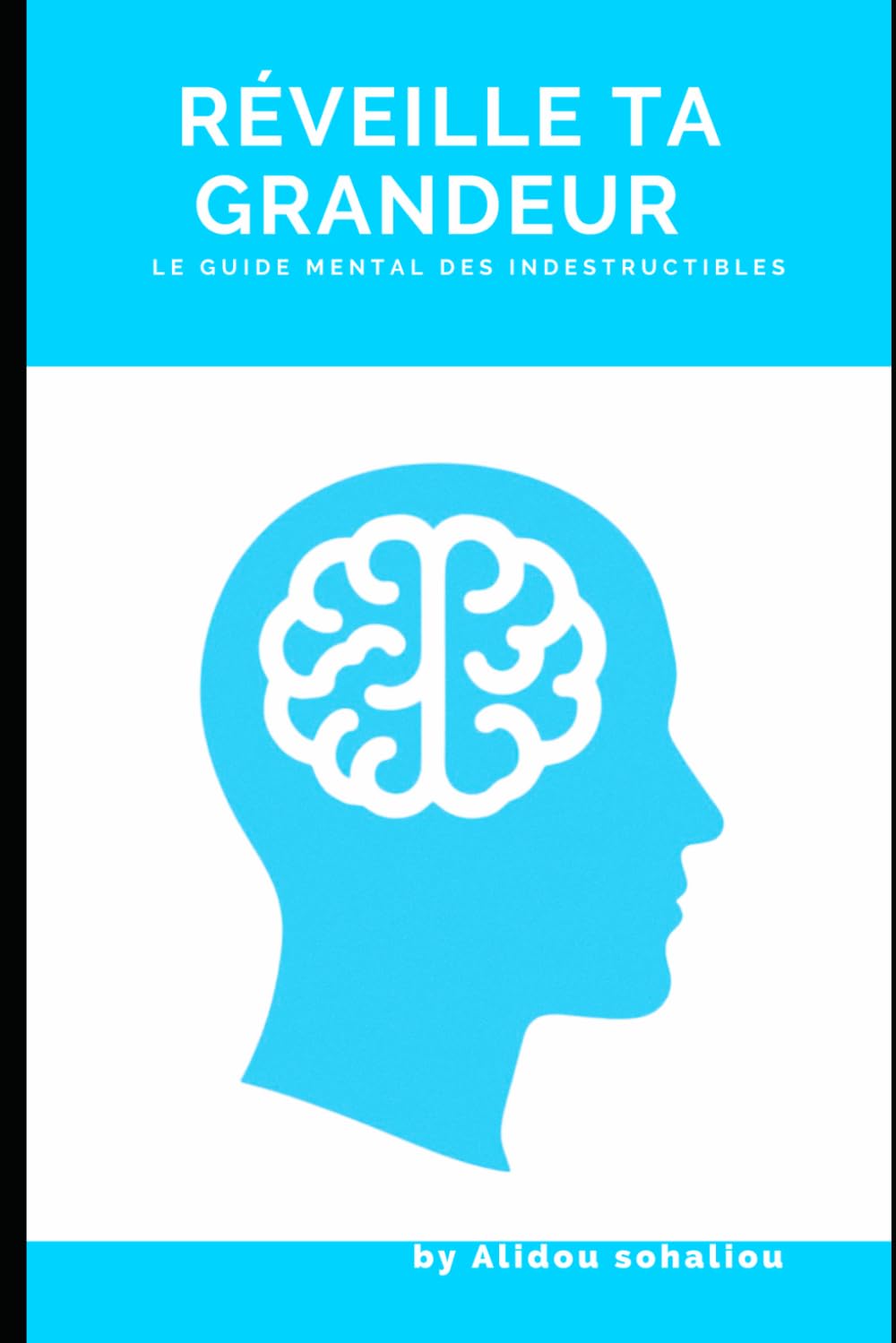 Réveille ta grandeur: Le guide mental des indestructibles