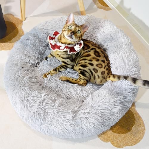 PiPiCat 猫ベッド 犬クッション 50cm直径 ラウンド ドーナツ型ペットベッド ネコ 丸型 猫用 うさぎ 中型犬 小型犬用 布団 寝床 通年 ペット用品 滑り止め 丸洗いふわふわ かわいい(ライトグレー)