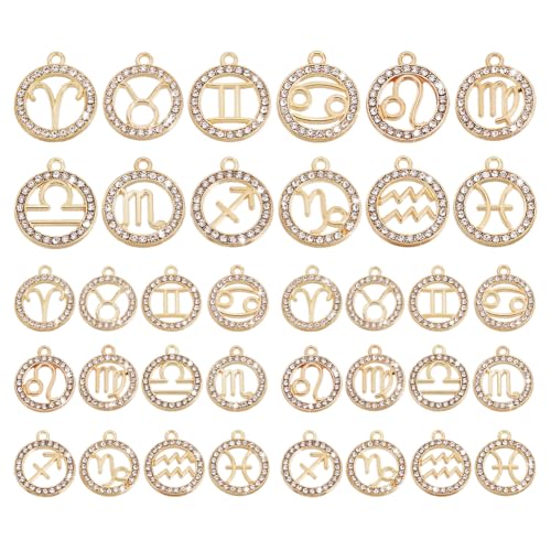PH PandaHall 48pz Ciondoli con Segni Zodiacali Pendenti Costellazioni Segno Zodiacale, Oro Ciondoli Zodiacali per La Creazione di Gioielli Collana Bracciale Fai Da Te 18.5~21.5mm