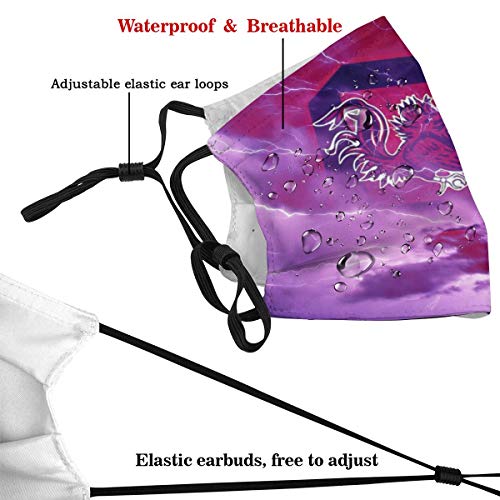 LasGo Washable Face Cover for South Carolina University Football Fan Mouth Cover with 6 Filter Men Women Sports Scarf