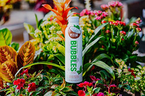 Image of JUST Bubbles Coconut Mint - Pure Premium Sparkling Spring Water in a Fully Recyclable Reusable Eco-Friendly Bottle - 100% Mountain-Sourced Carbonated Water with Naturally Occurring Minerals, 16 Fl Oz (Pack of 12)