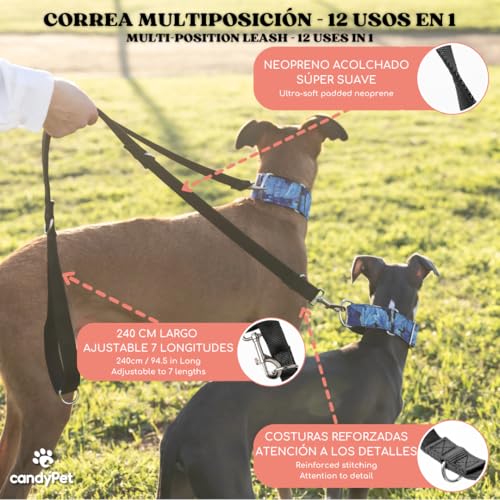 candyPet® 12 in 1 Multi-Position Dog Leash, Hands Free, Adjustable in 7 Lengths, Padded with Neoprene, 240 cm - Image 2