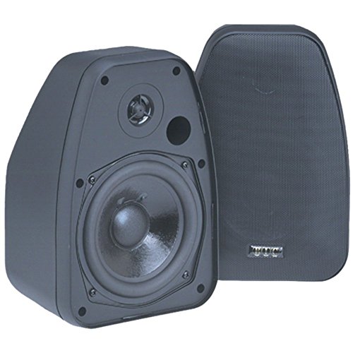 BIC Venturi DV52SI Adatto Black Indoor/Outdoor Speakers Pair W/ 10W?€“125W Per Ch Consumer Electronics