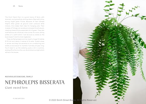 Plantopedia: The Definitive Guide to Houseplants - Image 5