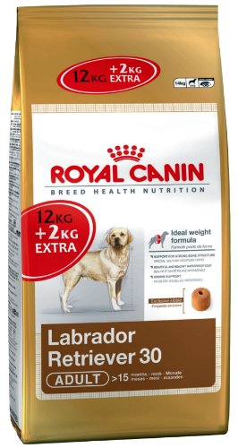 Royal Canin Breed Labrador Retriever 30 Adult, 1er Pack (1 x 14 kg Packung)
