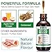 Antibiotika für Hunde-60ml,Hund Antibiotika,Natürliche Antibiotika für Hunde,juckende Haut Relief,Unterstützt Allergie Relief,Hund Antibiotika für Haut-Infektion-Bacon Flavor