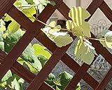 VERDELOOK B00FBE9UVA lato 4