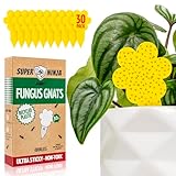 Super Ninja Fungus Gnat Traps - 30 Pack, Highly Effective Gnat Traps for House Indoor, Yellow Sticky Trap for Plants, Non-Toxic & Nature-Friendly, Up to 3 Months
