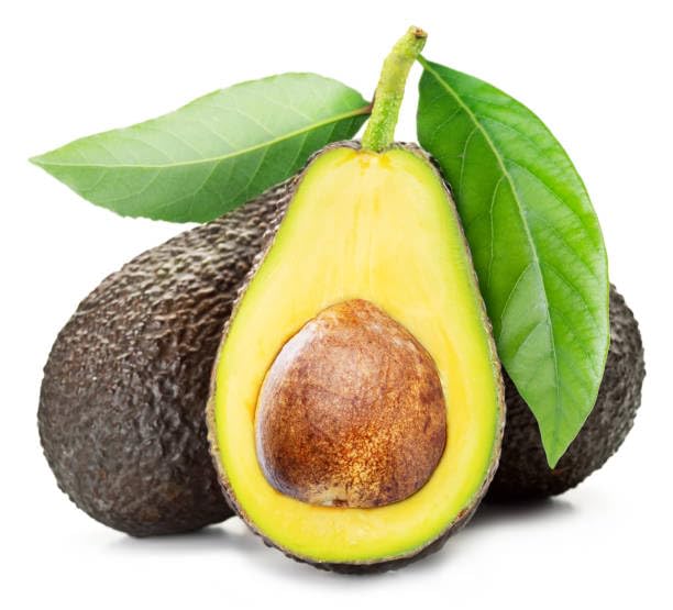 ARUSHI PLANTS MARKET THAI AVOCADO FRUIT PLANTS GOOD/HALDI/QULITY PACK OF 1 PLANTS HIGHT 1.7 FIT chiygjo (B0CQM519GP) Amazon Price History, Amazon Price Tracker