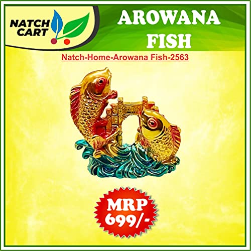 Image of Fengshui Exclusive Multicolor Small Size Polyresin Double Arowana Fish Showpiece for Office Decor, Home Decoration (AF-2563)