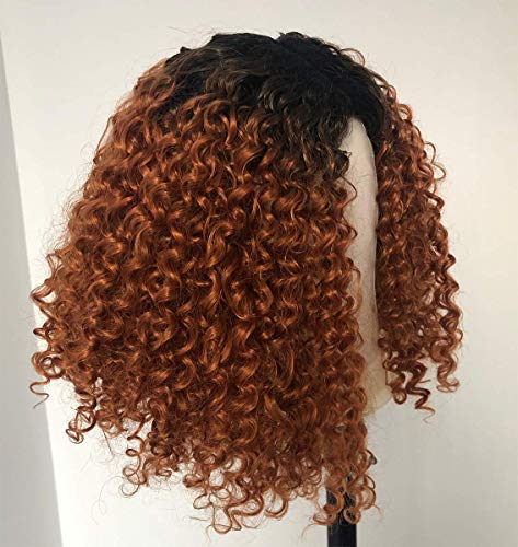 ANNIVIA Ombre Blonde Short Curly Bob Wig for Black Women Synthetic Heat Resist Soft Hair Short Kinky Curly Afro Wig
