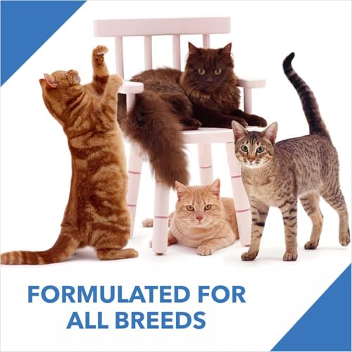 Image of Drools Adult 7kg Dry Cat Food with 5kg Cat Litter Free | Ocean Fish Flavour | Taurine for Cardiac Support | Nourished Skin & Shiny Fur | Urinary pH Balance | Hairball Control