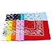 Bandanas Bandana Face Couleur Paisley Head Double Cowboy Multi Set Douzaine Bandeau Écharpe Homme Chemise