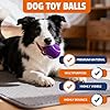 FURWEY Tennis Balls for Dogs 16 Pack,2.5 inches,Durable and Non-Toxic Dog Toys Balls with Mesh Bag,Colorful Fetch Toys Balls for pet Dog (Non Squeaky) #5