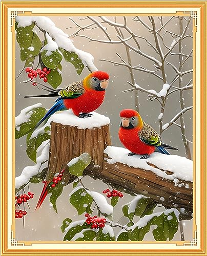 Image of Findvoor Stamped Cross Stitch Kits for Beginners Full Range of Cross Stitching Embroidery Pattern for Adults, 11CT DIY Needlepoint Embroidery Starter Kits-Bird Snowy 15.7x19.7 inch