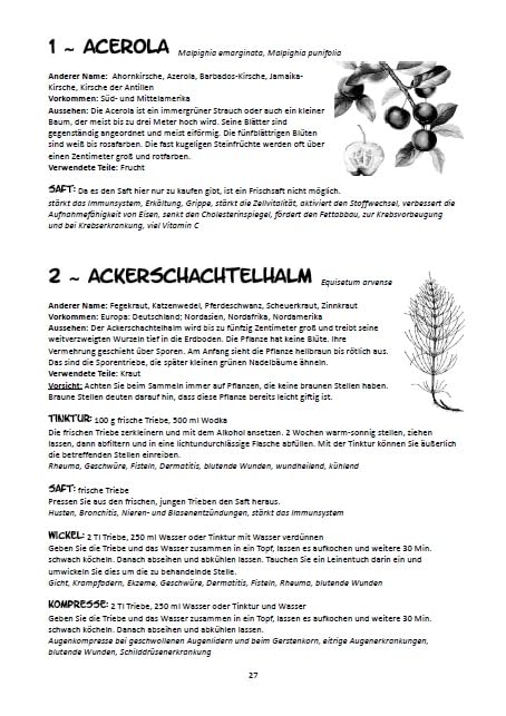 Was nicht nur Kräuterhexen wissen sollten: Ein Ratgeber & Rezeptbuch