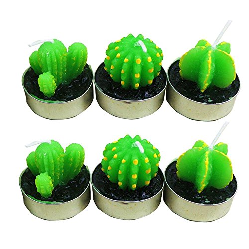 Rameng Lot de 6 Forme de Cactus Bougie Chauffe-Plat Non Parfumée Votives/Festives/ Noël/Massage Décoration d'intérieur (A)