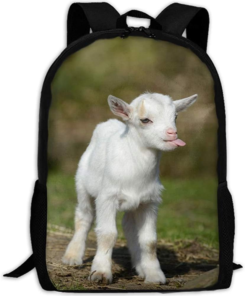 abiti casual moments per le donne