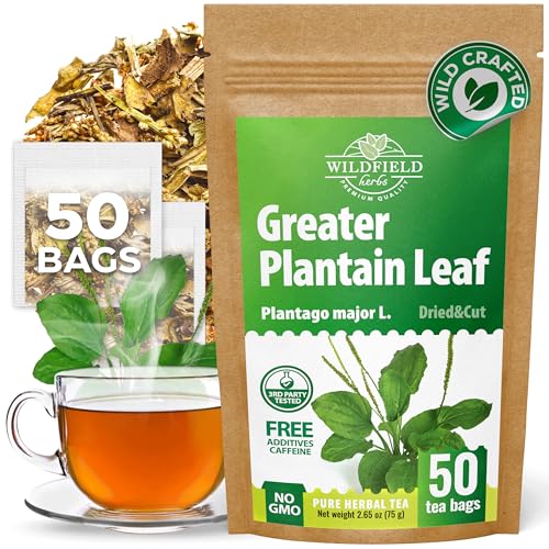Image of 50 Bags Broadleaf Plantain Leaf Herb Tea (Plantago Majoris Folia) Plantain Leaves Tea - 50 Count 1.5 g Bags Llanten