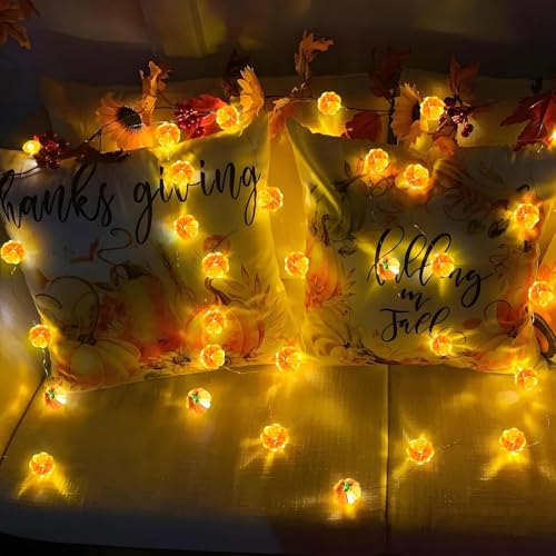 Kürbis Lichterkette Batterie,2M 20 LED Kürbis Herbst Deko Dekoration Innen – Ansicht 6