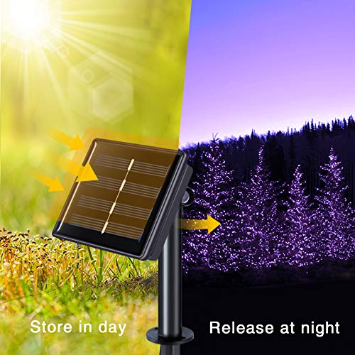 JMEXSUSS Purple Halloween String Lights, Solar String Lights Outdoor Waterproof, 2 Pack 32.8ft 100 LED Solar Fairy Lights, 8 Modes Solar Powered Copper Wire Fairy Lights for Halloween Decorations